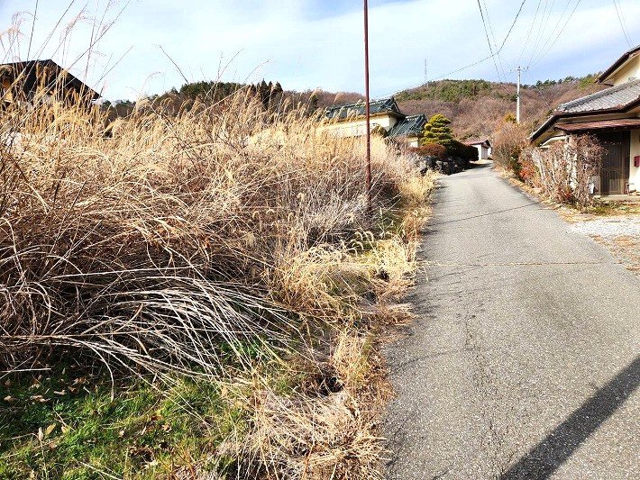 佐久市桑山　土地 現地写真（前面道路含む現地写真）