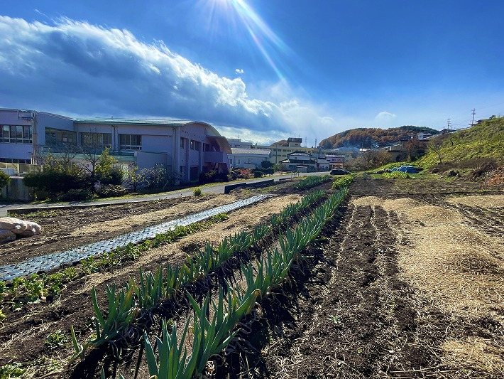 佐久穂町高野町　土地 現地写真