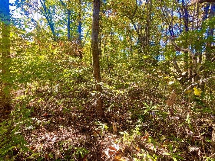 佐久市前山　土地 現地写真
