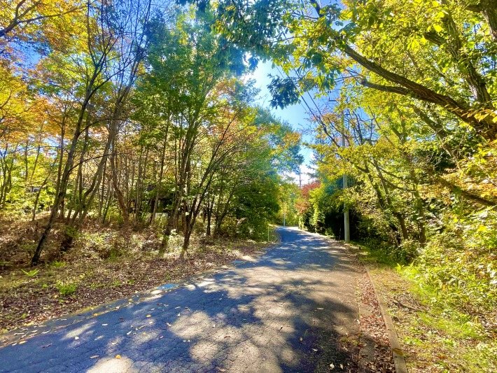 佐久市前山　土地 現地写真（前面道路含む現地写真）