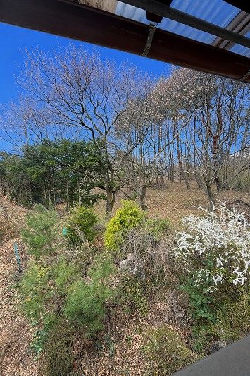 小諸市己　中古戸建 その他