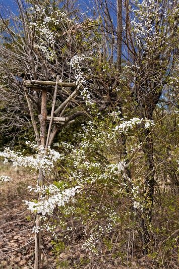 小諸市己　中古戸建 その他