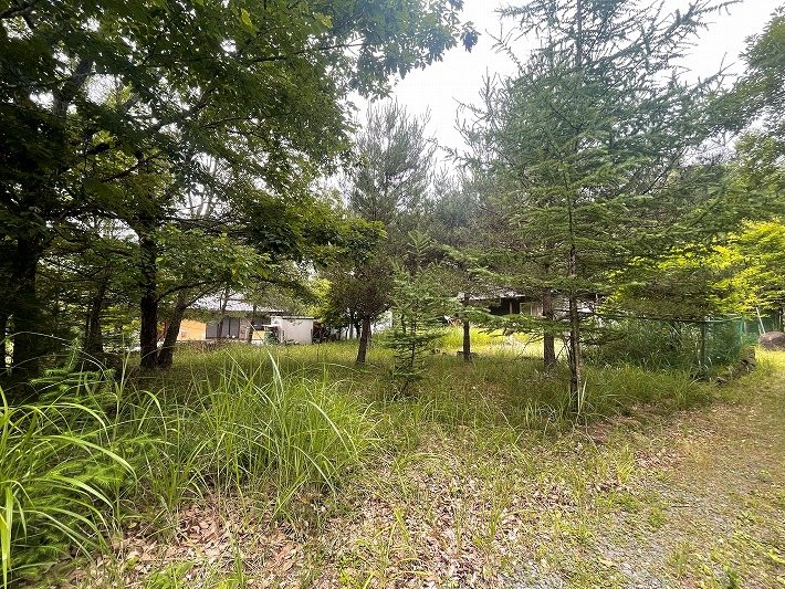佐久市内山　土地 現地写真