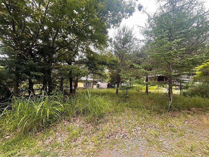 佐久市内山　土地 現地写真