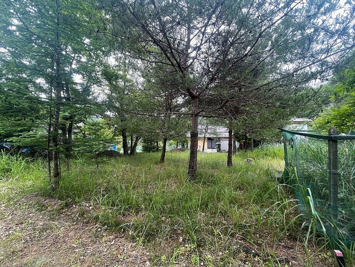 佐久市内山　土地 現地写真