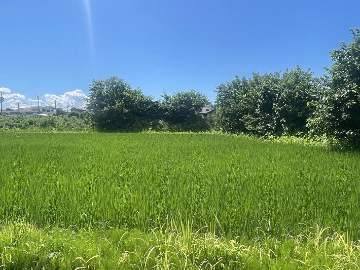 佐久市瀬戸 土地 現地写真