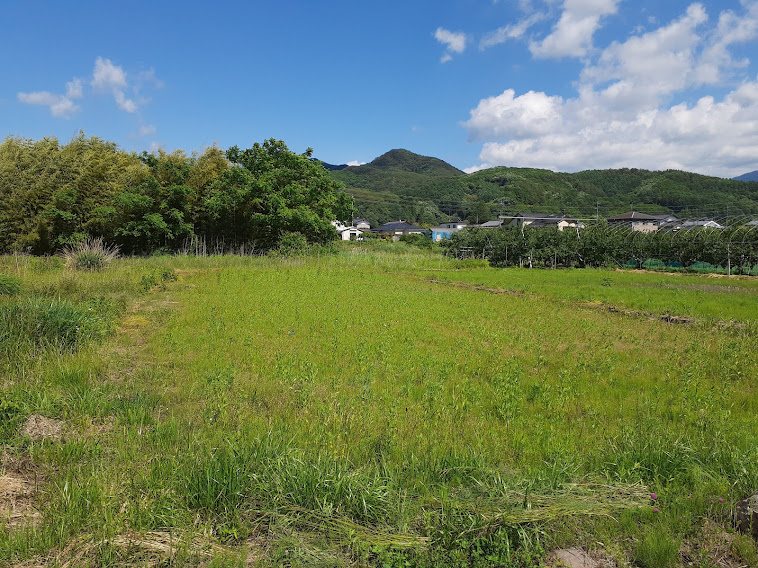 佐久穂町宿岩 土地 現地写真