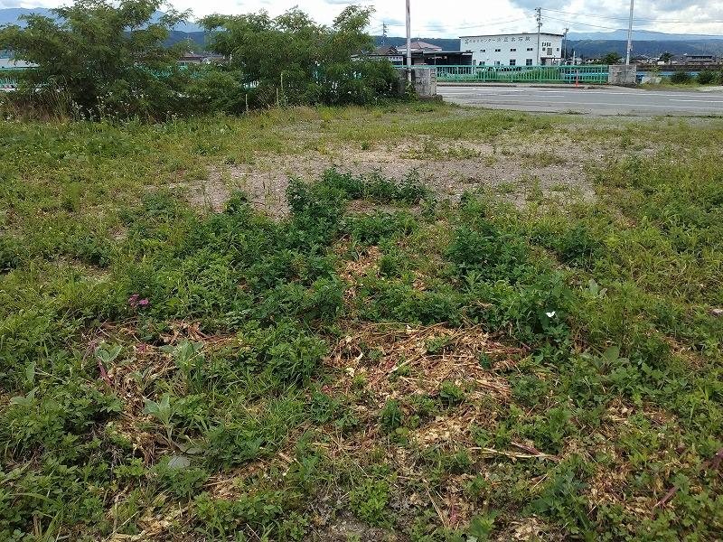 佐久市中込　土地 現地写真