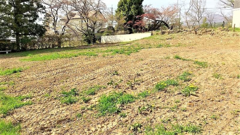 小諸市滋野甲　土地 現地写真