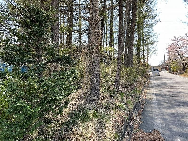 小諸市甲　土地 現地写真（前面道路含む現地写真）