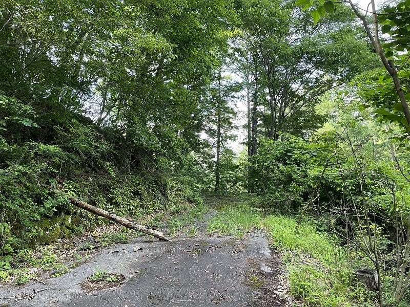 御代田町面替　土地 現地写真（前面道路含む現地写真）