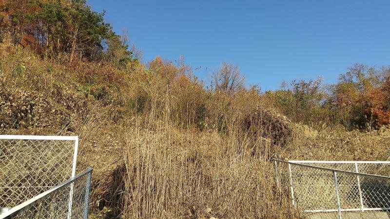 小諸市菱平 土地 現地写真