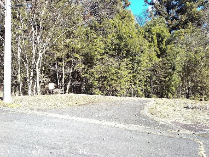 上田市八木沢　土地 その他