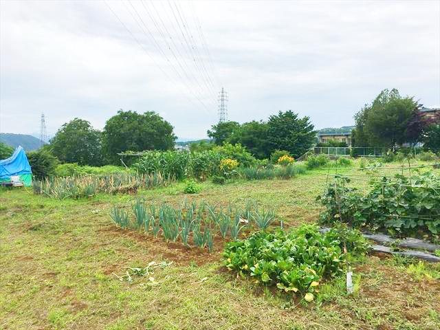 小諸市諸　土地 現地写真