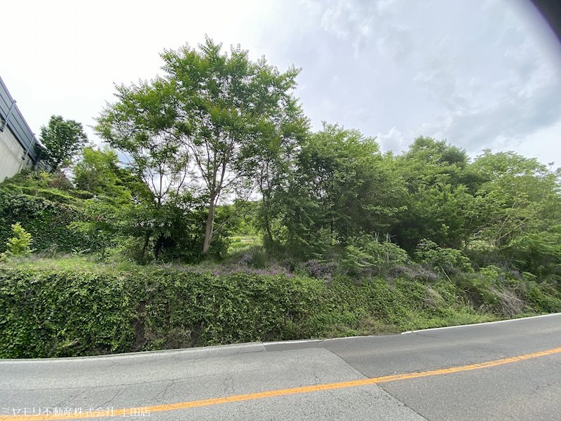 上田市上野　土地 現地写真