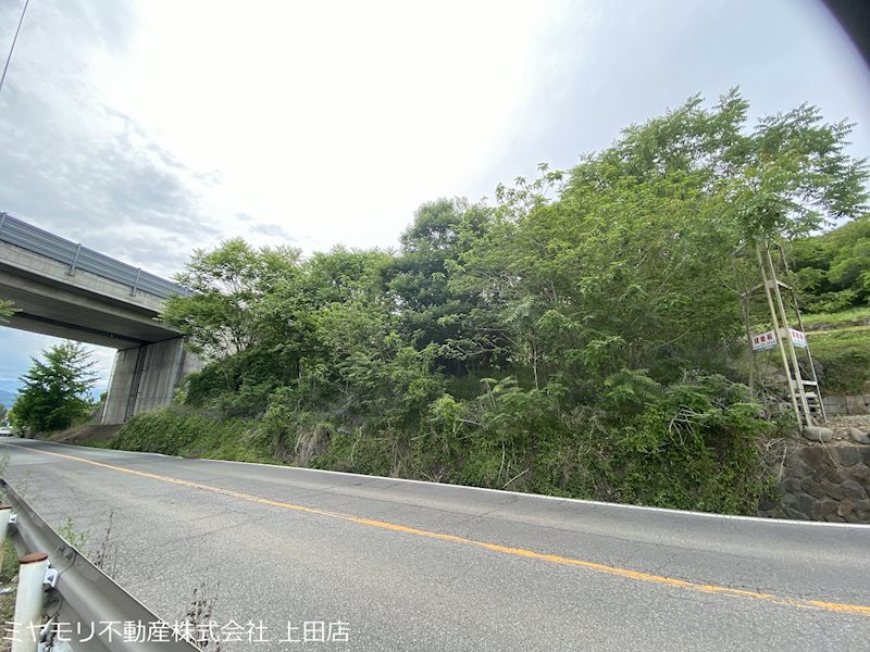 上田市上野　土地 その他