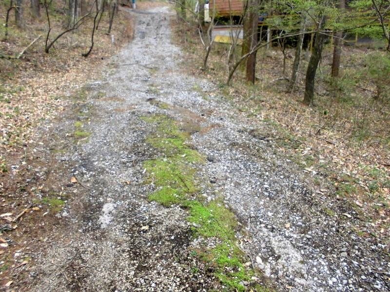 軽井沢町長倉鶴溜　土地 その他