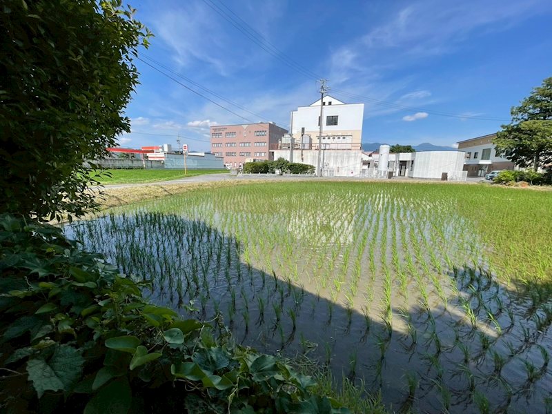 松本市島立　土地 その他