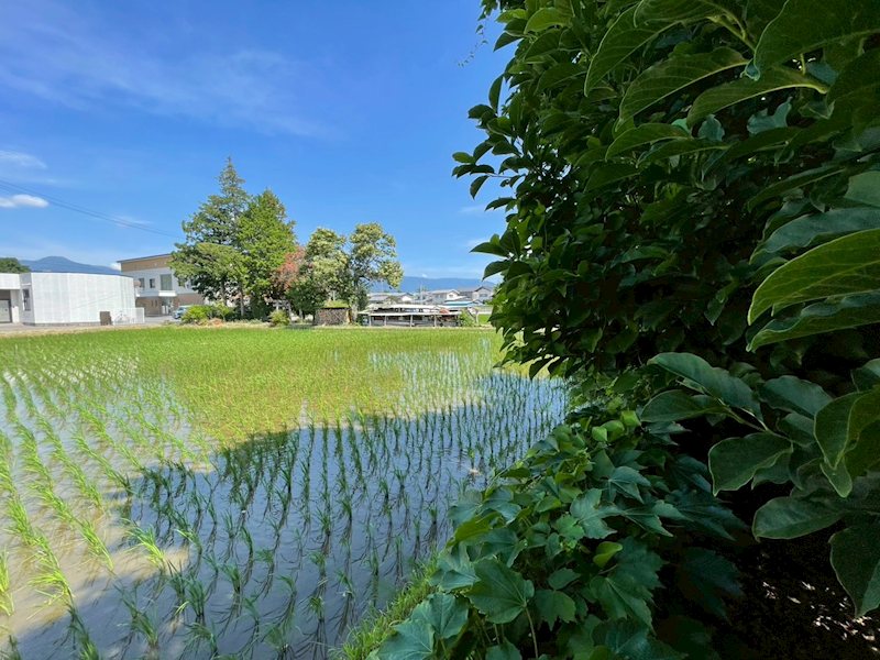 松本市島立　土地 その他