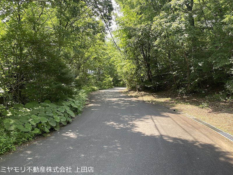 青木村沓掛　中古戸建 その他