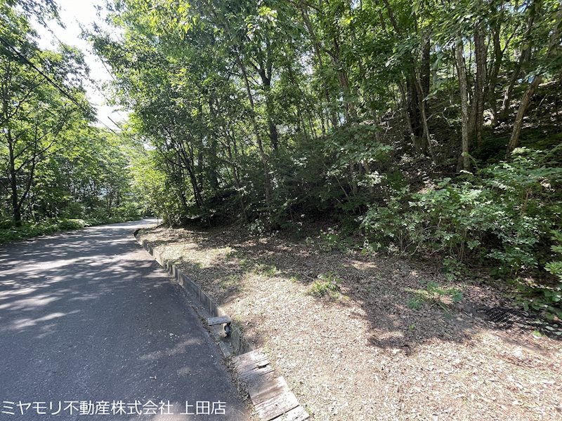 青木村沓掛　中古戸建 その他