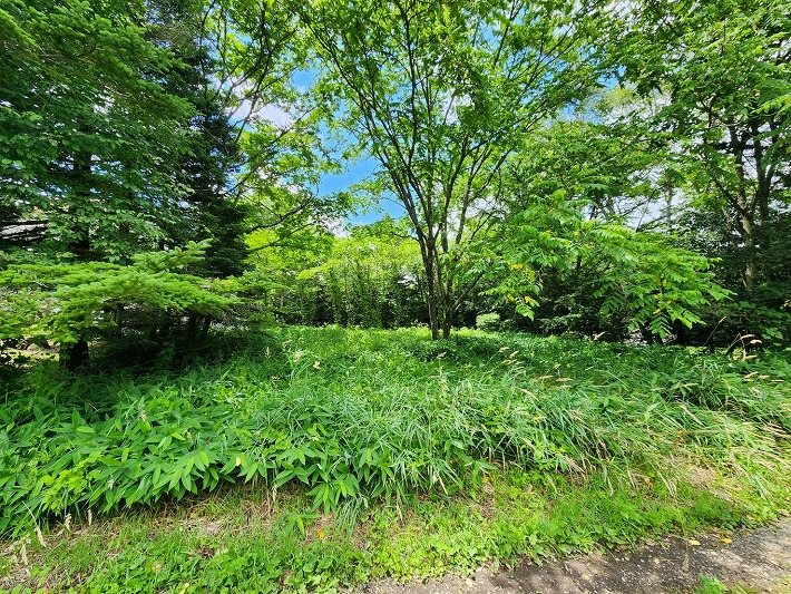 南牧村板橋　土地 現地写真