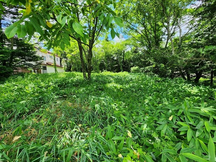 南牧村板橋　土地 その他