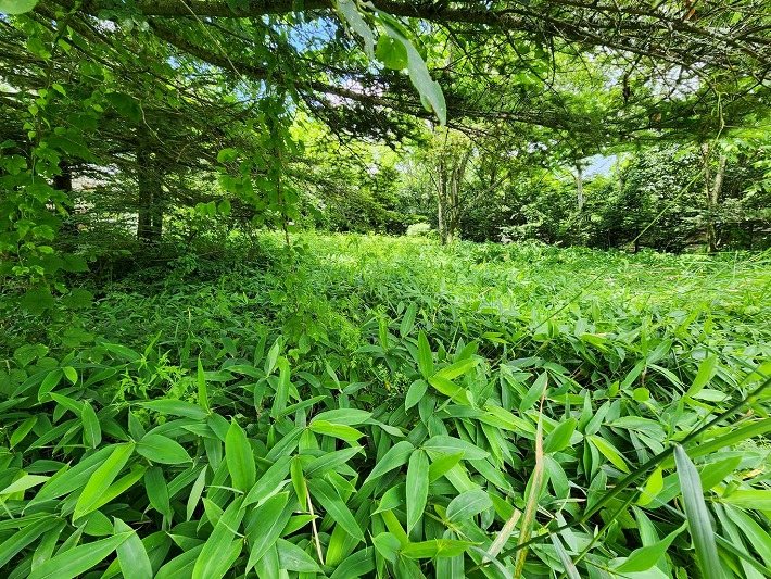 南牧村板橋　土地 その他