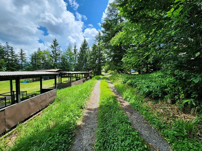 南牧村板橋　土地 その他
