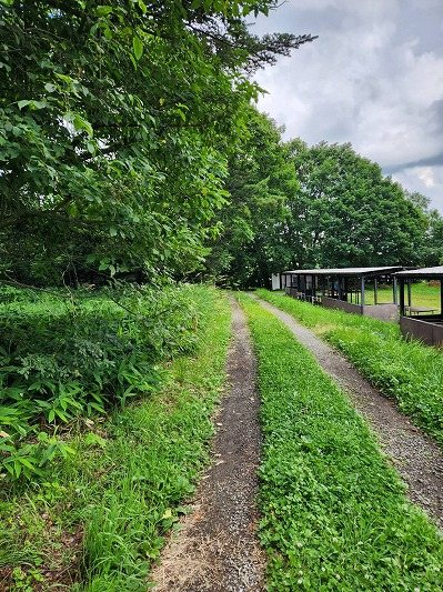 南牧村板橋　土地 その他