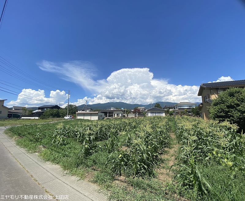 東御市加沢　土地 現地写真