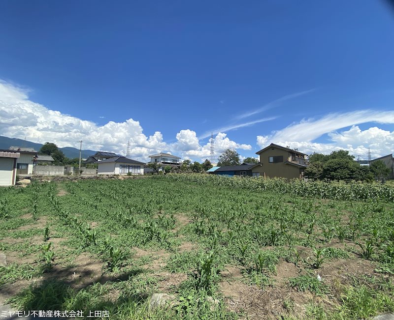 東御市加沢　土地 現地写真