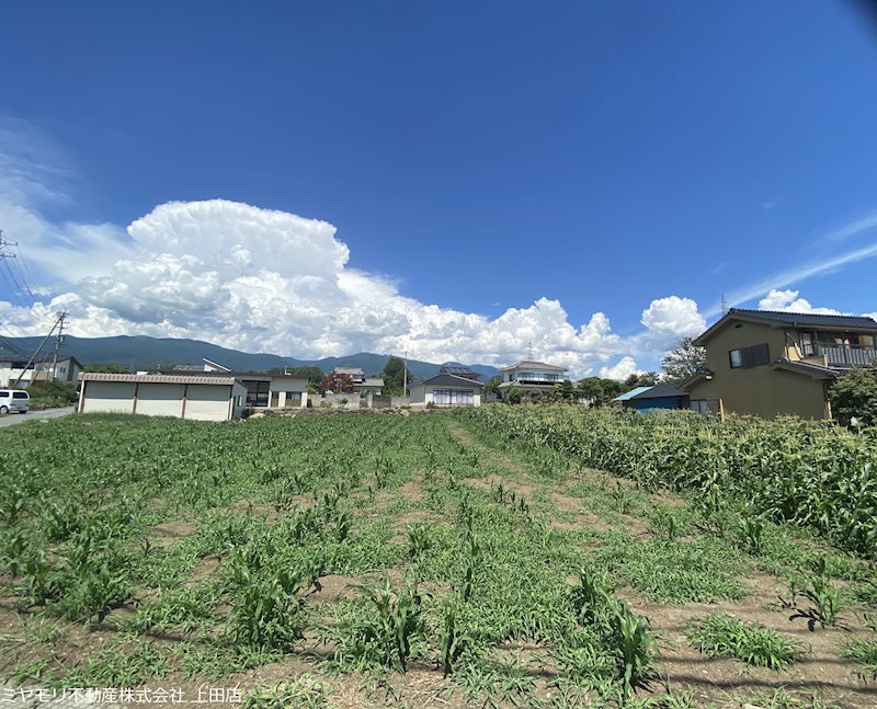 東御市加沢　土地 現地写真