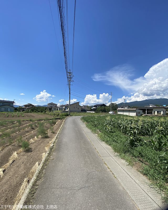 東御市加沢　土地 現地写真