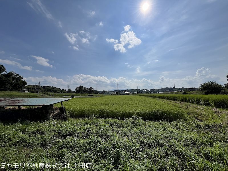 東御市八重原　土地 現地写真