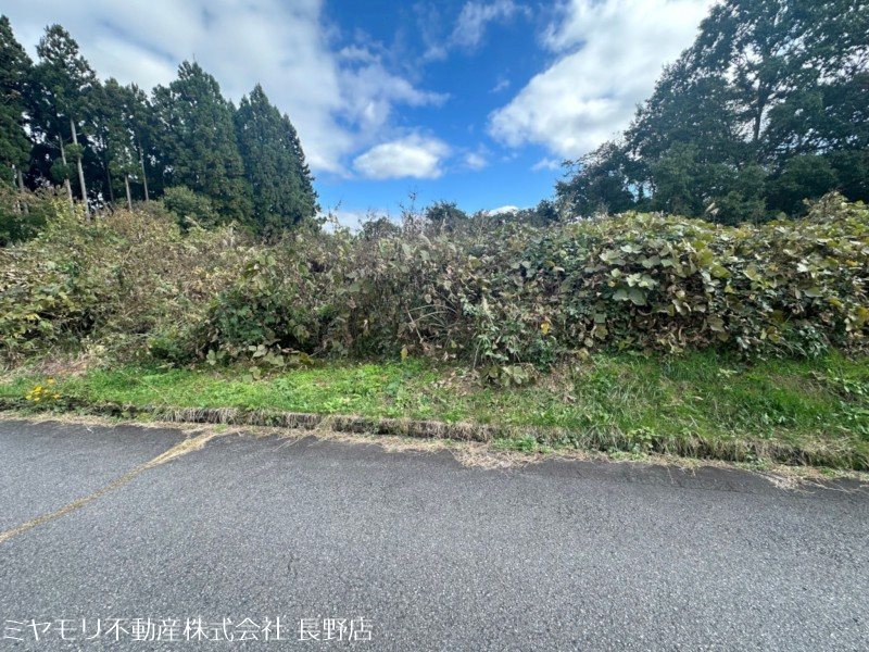 長野県上水内郡飯綱町豊野 現地写真