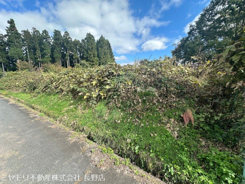 長野県上水内郡飯綱町豊野 現地写真