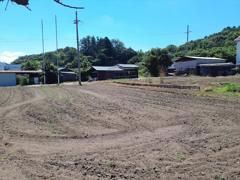 佐久市伴野　土地 その他