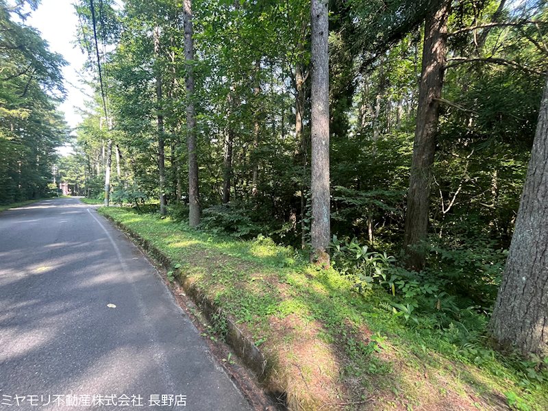 長野県上水内郡飯綱町川上 現地写真（前面道路含む現地写真）