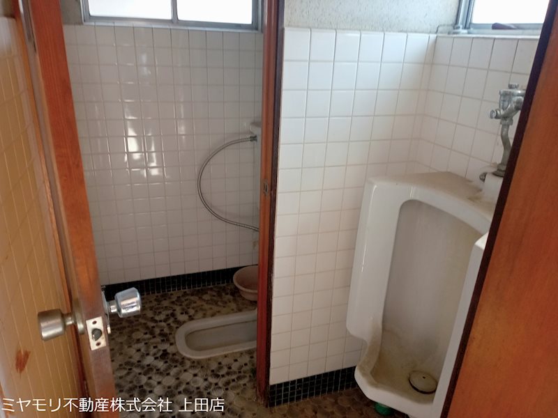 坂城町上平　中古建物 内観写真（トイレ）