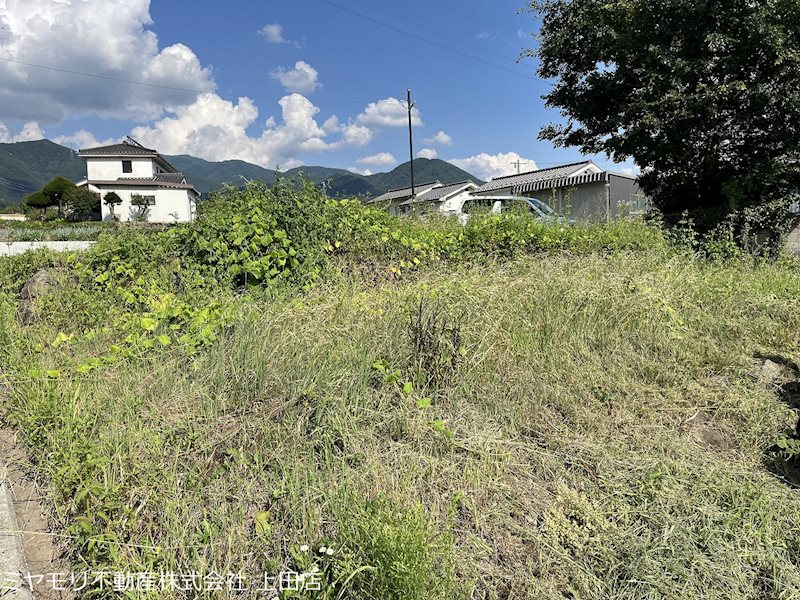 上田市真田町本原　土地 その他