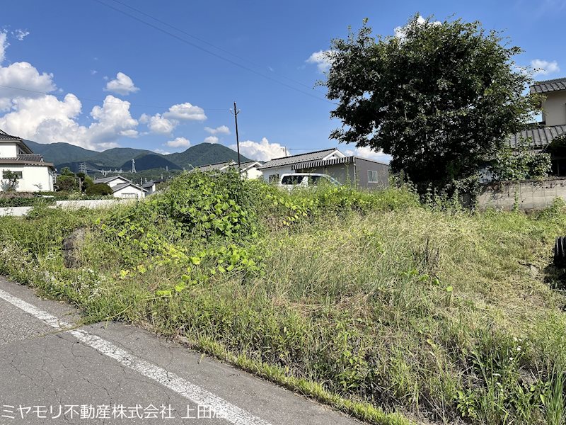 上田市真田町本原　土地 その他