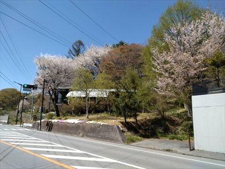 御代田町塩野　店舗 その他