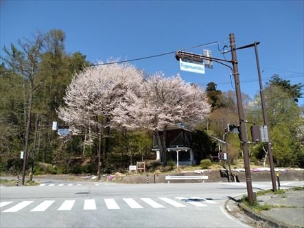 御代田町塩野　店舗 その他