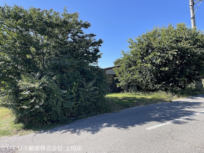 東御市海善寺　土地 現地写真（前面道路含む現地写真）