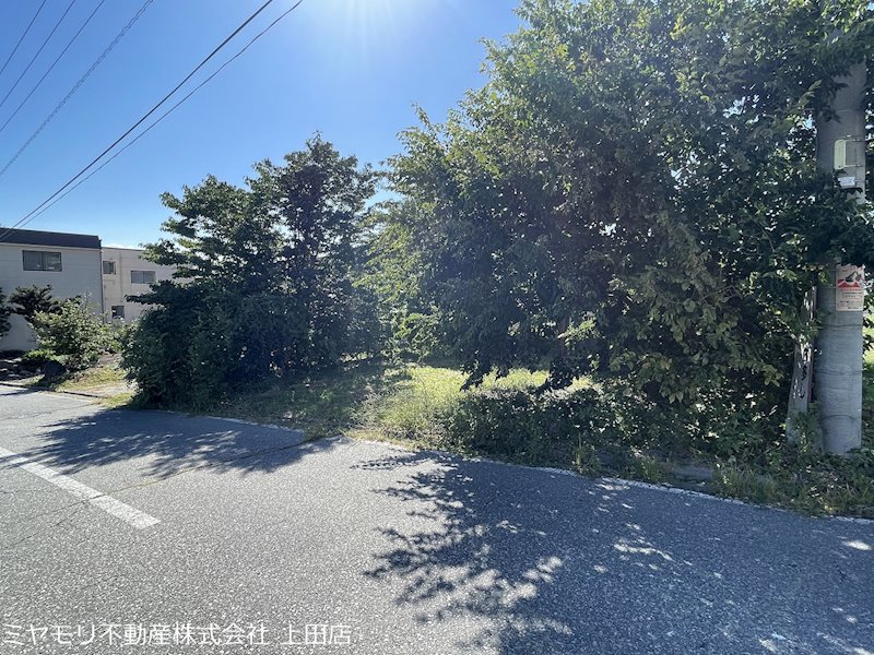 東御市海善寺　土地 現地写真（前面道路含む現地写真）