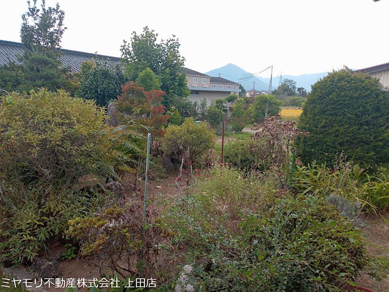 上田市仁古田　中古戸建 現地写真（庭）