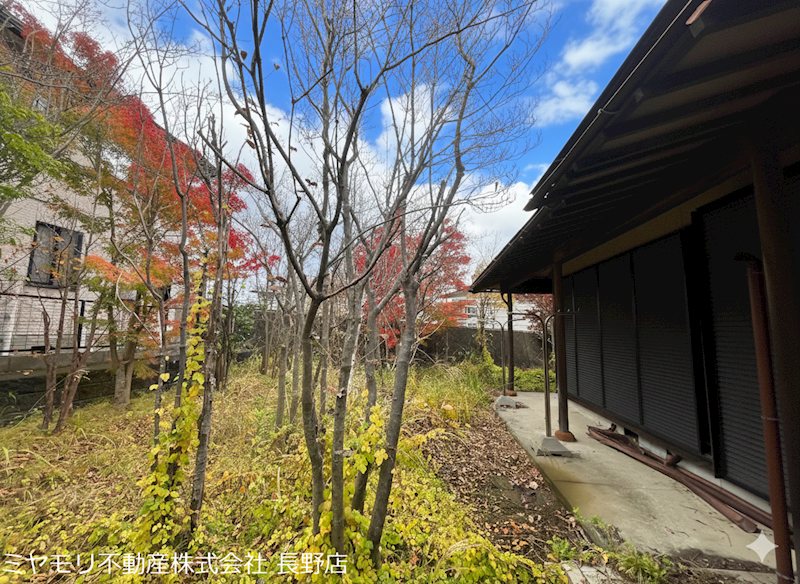 長野県中野市七瀬 現地写真（庭）