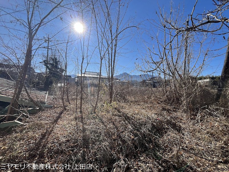 上田市五加　土地 現地写真