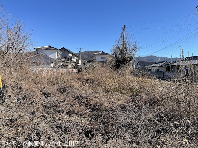 上田市五加　土地 現地写真